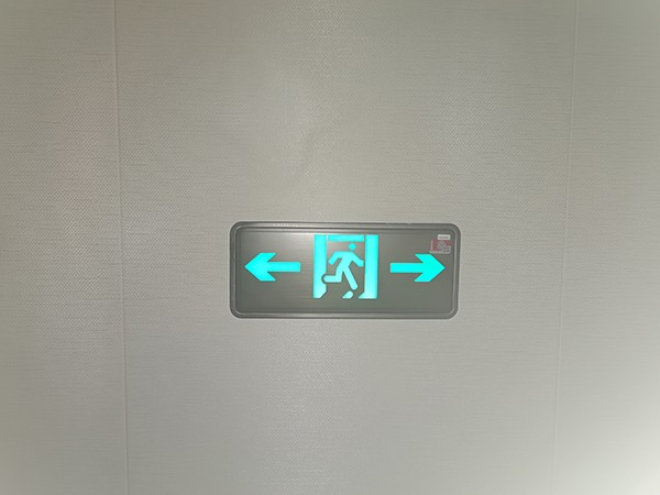 在大型商場中，集中控制智能疏散的優勢何在？